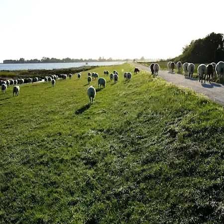 Auf For 2 Personen Апартаменты