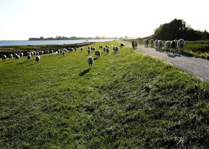 Auf For 2 Personen Lägenhet